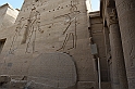 12 MAK_6449